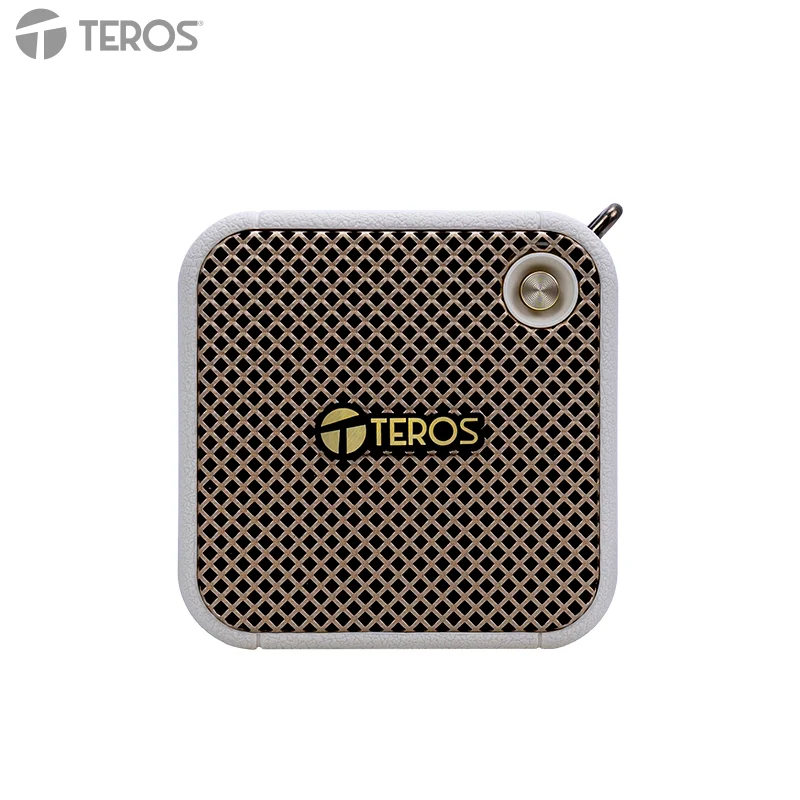 Parlante Inalámbrico Teros Legacy Leg-6051Bg, BT 5.3, 8W, 1500 Mah, Usbestilo Re