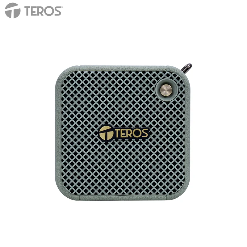 Parlante Inalámbrico Teros Legacy Leg-6051Gr, BT 5.3, 8W, 1500 Mah, Usbestilo Re