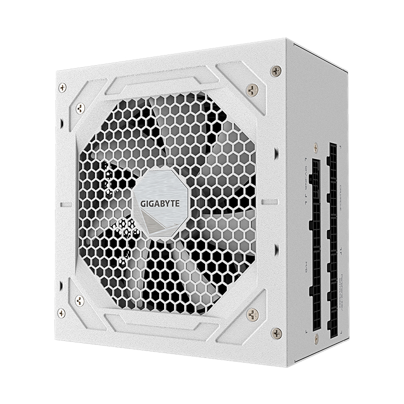 PSU GB Ud850Gm Pg5 Ice 80+G Fm