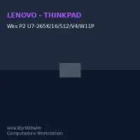 Ws Lenovo Thinkstation P2 Tower Gen2/Core Ultra 7265K 5.5G/16G Ddr5/512G SSD M.2/Rtx