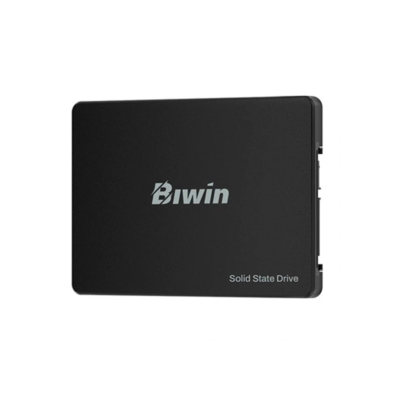 Unidad En Estado Solido (Ssd) Biwin M100, 256Gb, SATA Iii (6.0Gb/S), 2.5Dale Nu