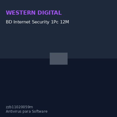 BD Internet Security 1Pc 12M